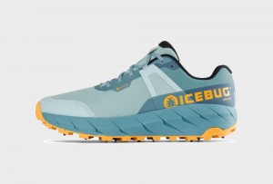 Icebug Arcus BUGrip GTX Women's Running Shoes Blue | CA-2483-XBQKU