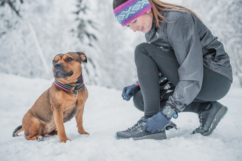 Icebug NewRun BUGrip GTX Studs Women's Running Shoes Black / Turquoise | CA-1306-CSFNW