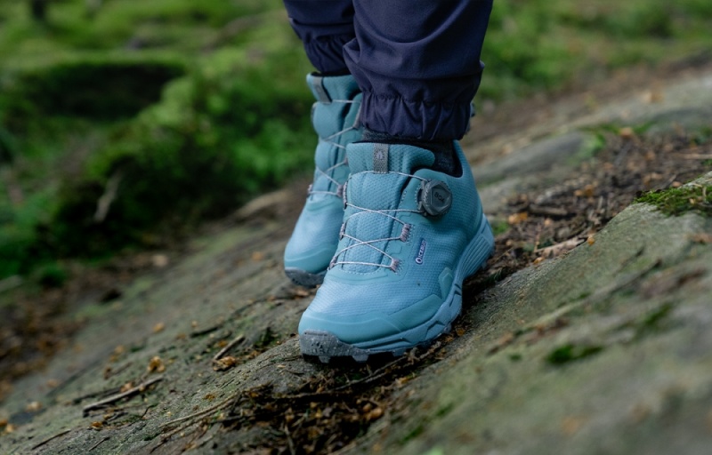 Icebug Rover RB9X GTX Studs Women's Hiking Shoes Blue / Grey | CA-7284-TAYCJ