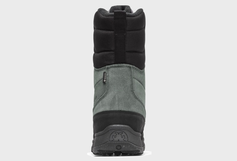 Icebug Torne 2 Biosole GTX Women's Winter Boots Deep Green Grey | CA-1278-HAKGW